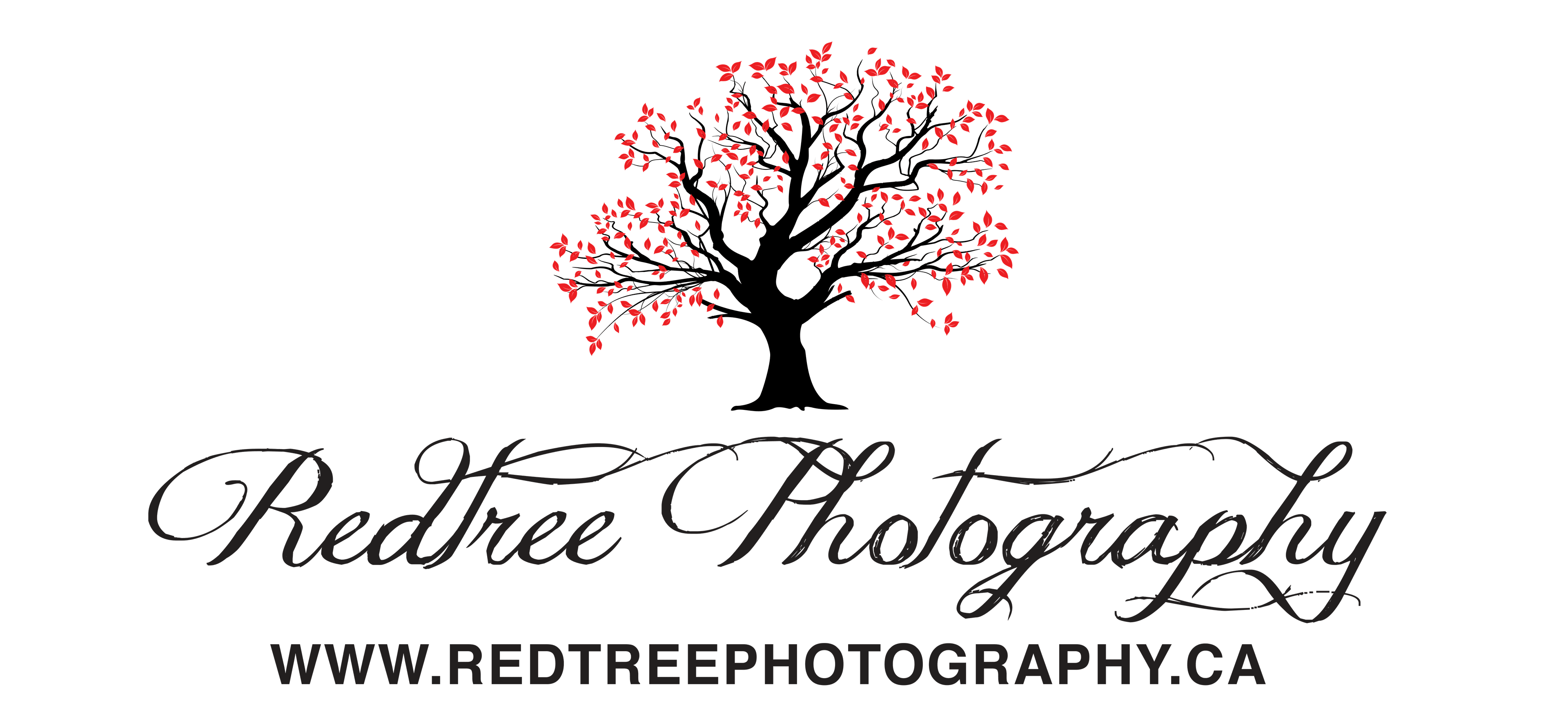 Redtree Photography